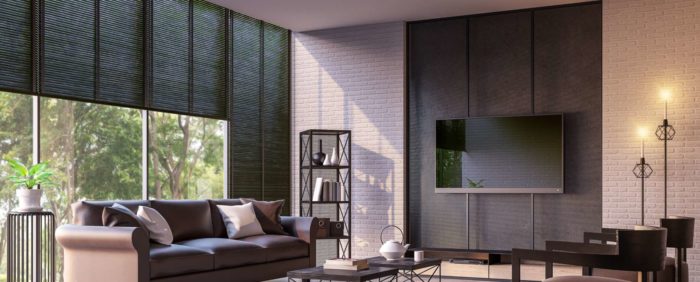 Dark roller shades in a living room